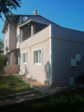 Basar villa